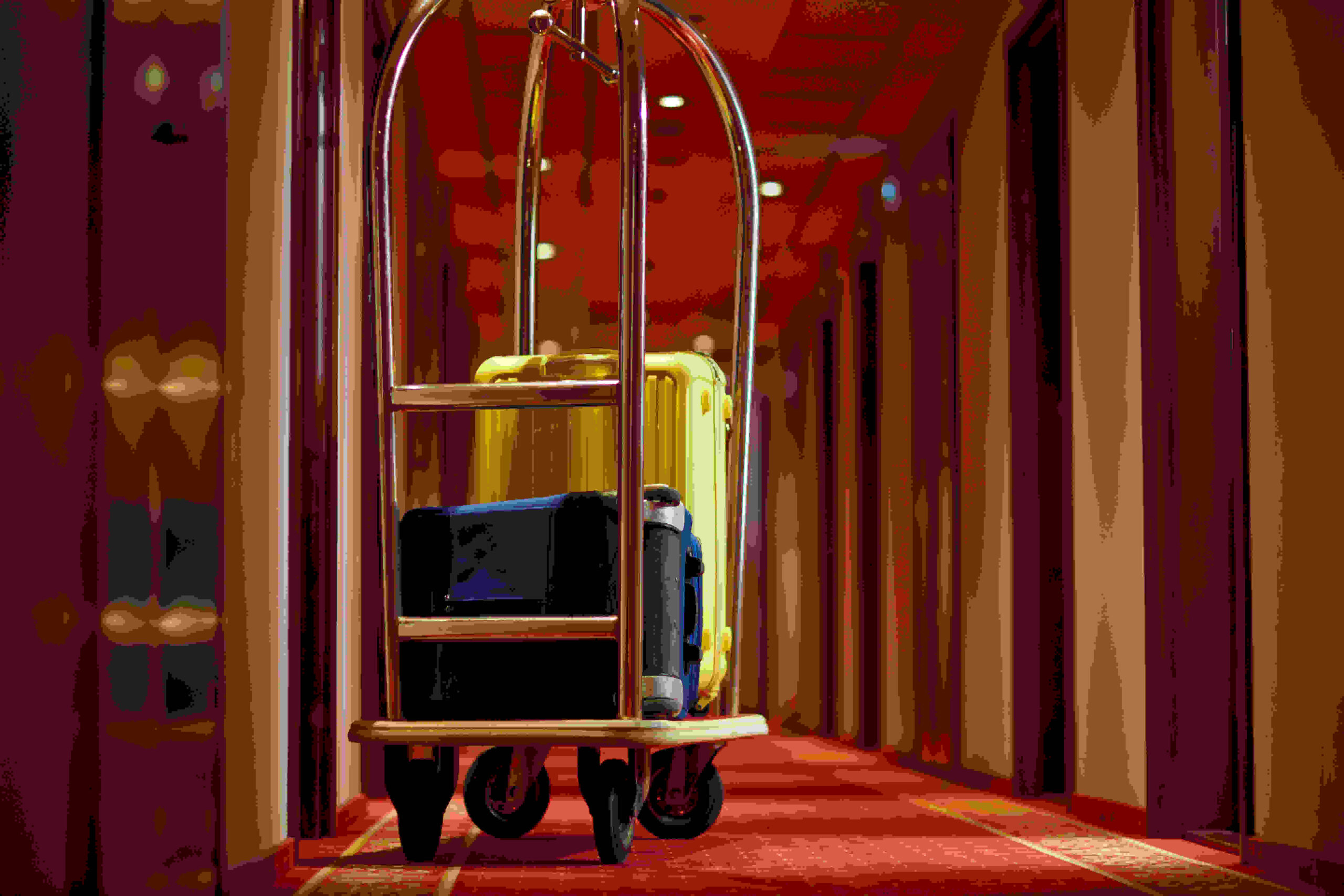 Hotel bookings